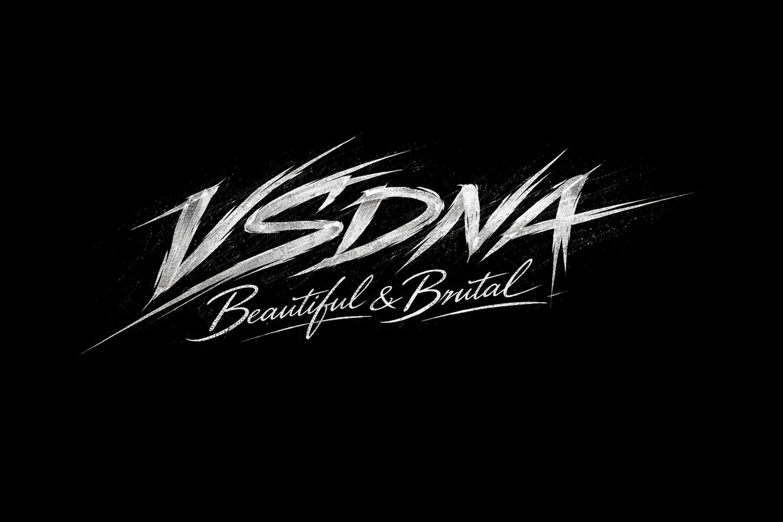 VSDNA concept preview two